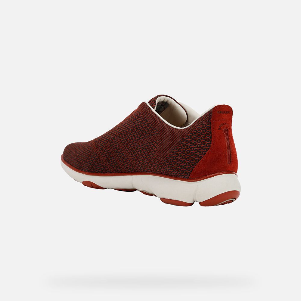 Basket Geox Nebula - Rouge - Homme 247581-QBM